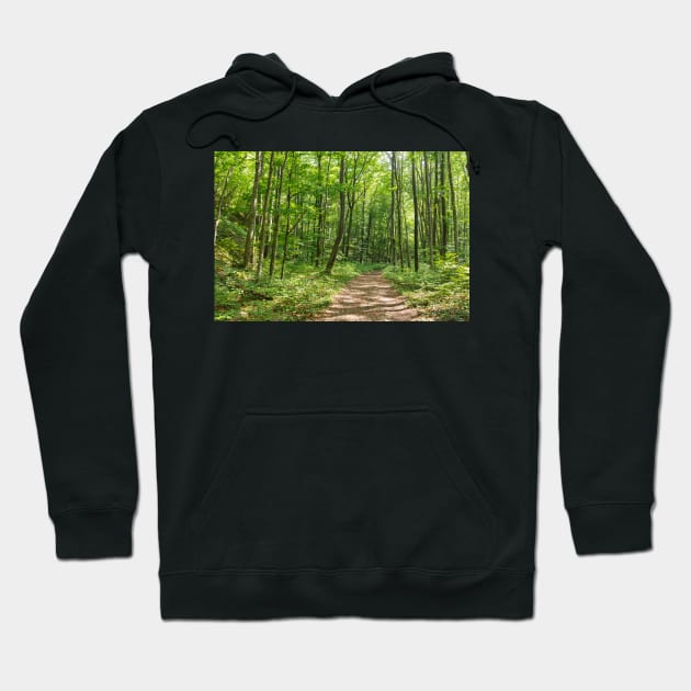 Deciduous forest in the summer Hoodie by naturalis